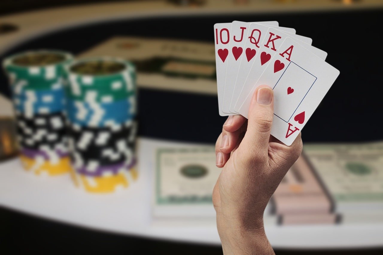 rans77 taruhan olahraga platform lengkap live betting statistik pertandingan